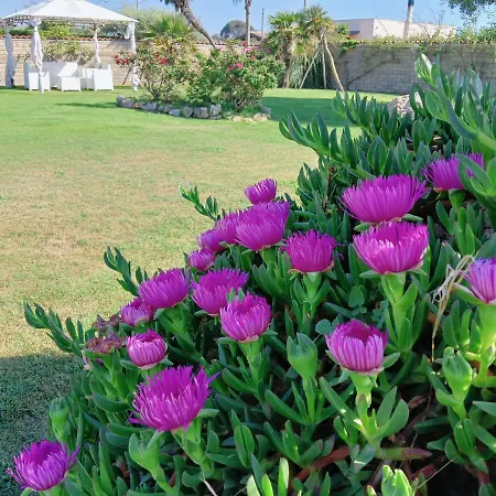 Elegance Bed & Breakfast Ladispoli