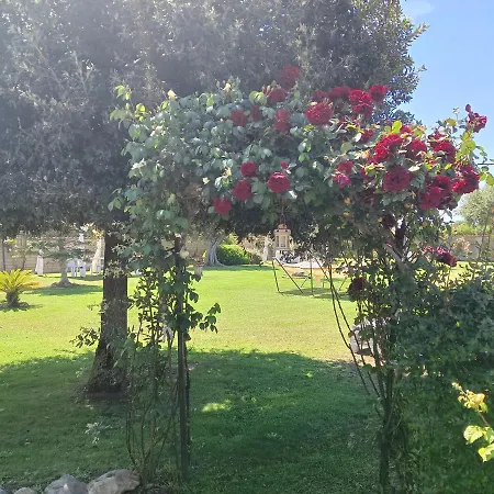 Bed & Breakfast Elegance