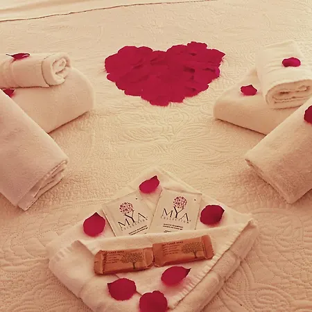 Couette-café Elegance Ladispoli