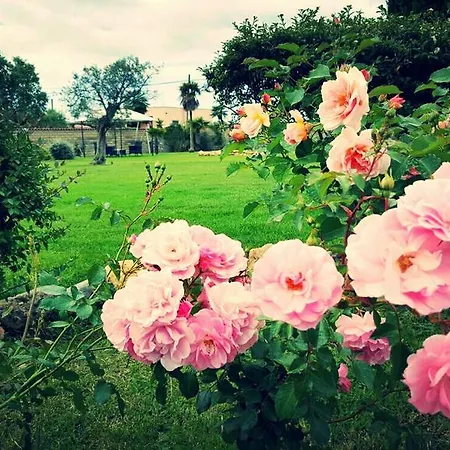 Bed & Breakfast Elegance Ladispoli