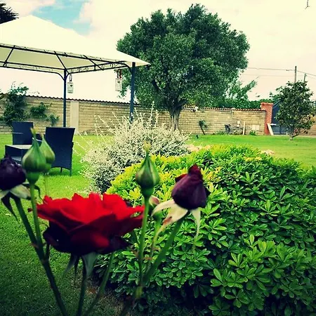 Bed & Breakfast Elegance Ladispoli