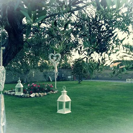 Elegance Bed and Breakfast 3*