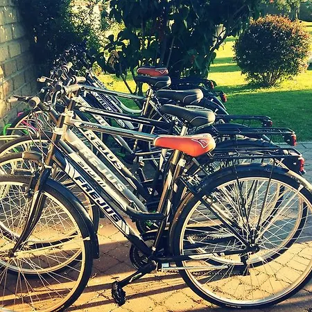 Elegance 3* Ladispoli