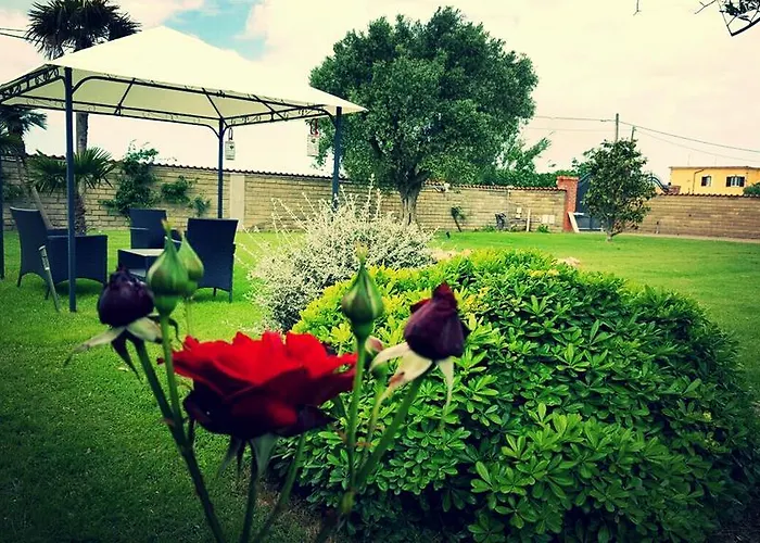 Bed & Breakfast Elegance Ladispoli